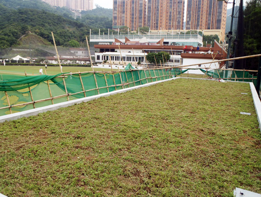 香港クリケットクラブ（屋上緑化）